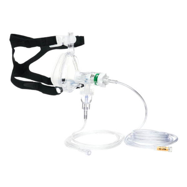 GO-PAP ™ - Image 3